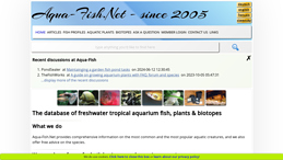 Tropical aquarium fish