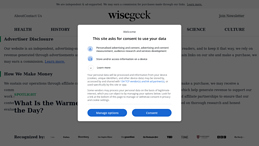 WiseGeek