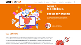 Web Development India