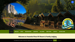 Yosemite Pines