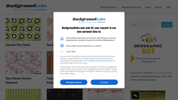 Free Backgrounds and Textures